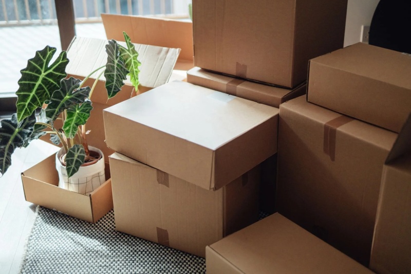 Move-in-out-img